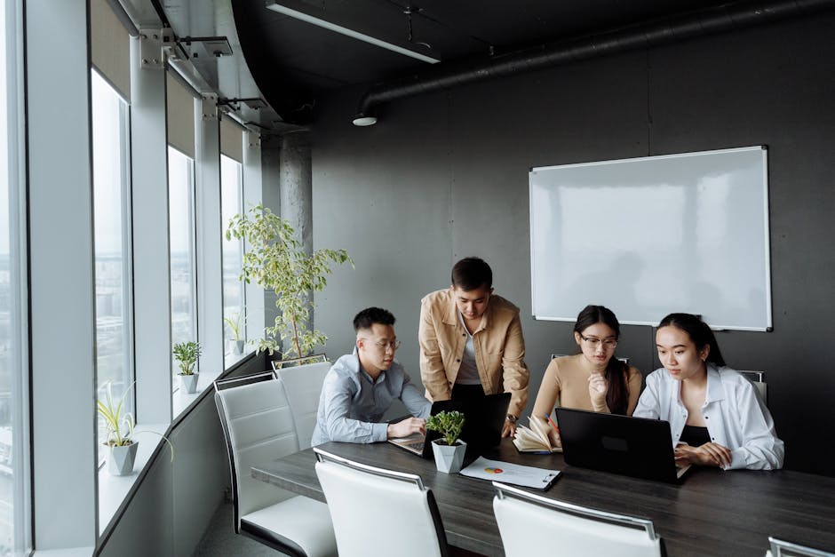 Evaluare impact de mediu baraj